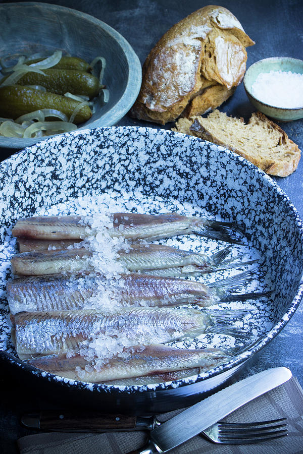 Raw Soused Herring With Sea Salt, Bread And Gherkins Photograph by Charlotte Von Elm
