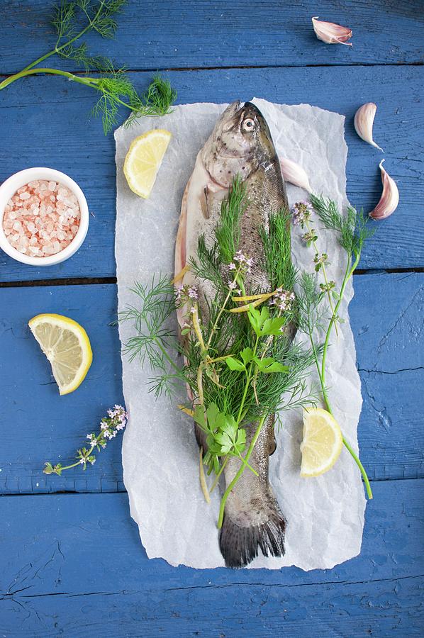 Raw Trout Garnished With Fresh Herbs And Lemon Slices On Parchment Paper Photograph by Kachel Katarzyna