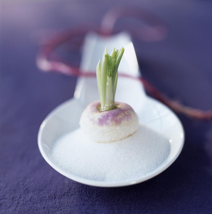 Raw Turnips On A Spoonful Of Castor Sugar Photograph by Desgrieux