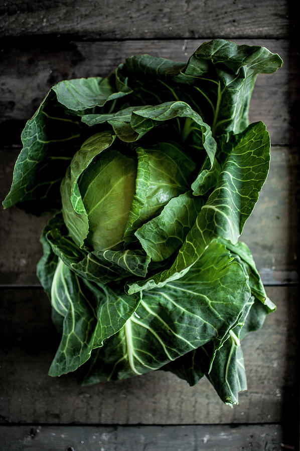 Raw Young Cabbage Photograph by Kachel Katarzyna