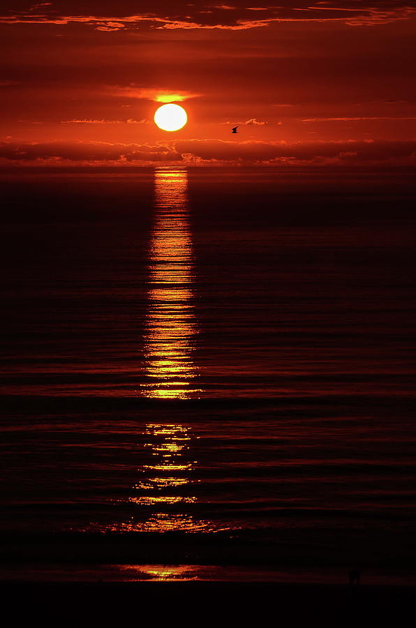 Ray of Hope by Jordan Paw Ray of Hope by Jordan Paw