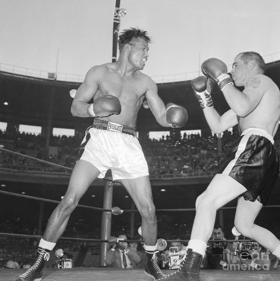 Ray Robinson Punching Out Carl Olson Photograph by Bettmann