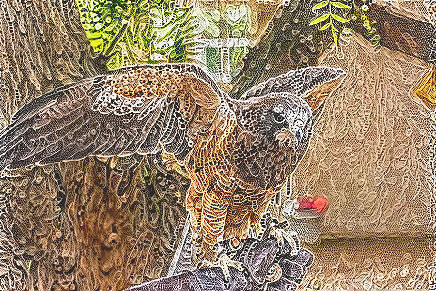 RC_000455 by Robert Carlsen RC_000455 by Robert Carlsen