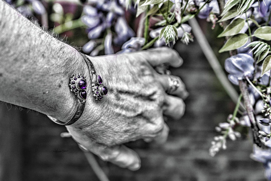 Reaching for Purple Photograph by Sharon Popek