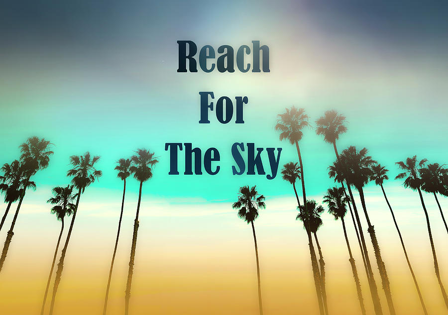 Reaching For The Sky Mixed Media by Johanna Hurmerinta