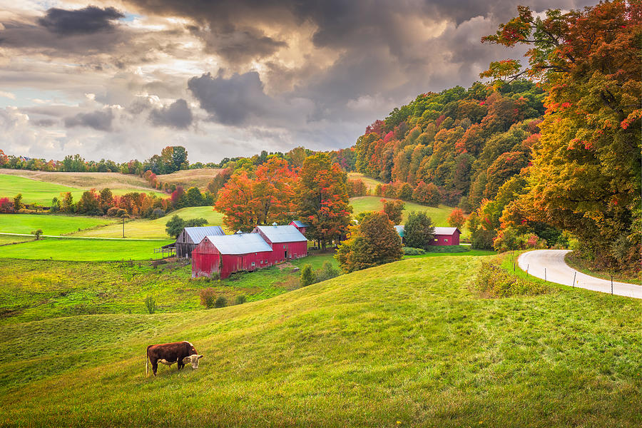 Fall Photograph - Reading, Vermont, Usa Rural Farm Scene by Sean Pavone