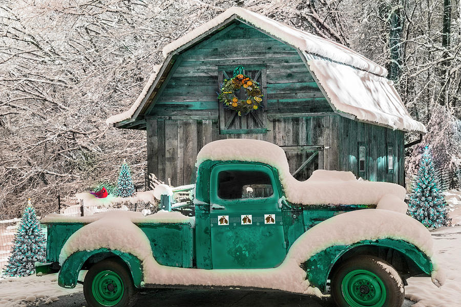 Ready for Christmas in Turquoise Photograph by Debra and Dave Vanderlaan
