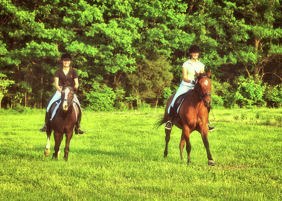 Horse Photograph - Ready Set Go by JAMART Photography Horse Photograph - Ready Set Go by JAMART Photography
