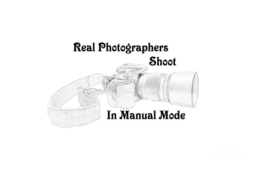 Real Photographers Mixed Media by Jennifer White