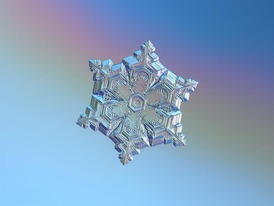 Real Snowflake - 05-feb-2018 - 12 Photograph