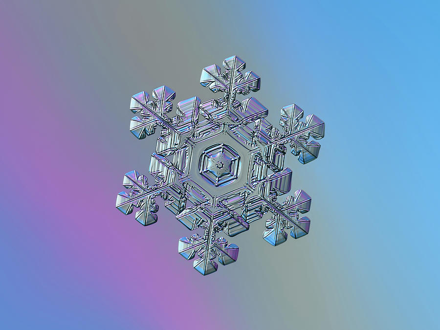 Real Snowflake - 05-feb-2018 - 13 Photograph