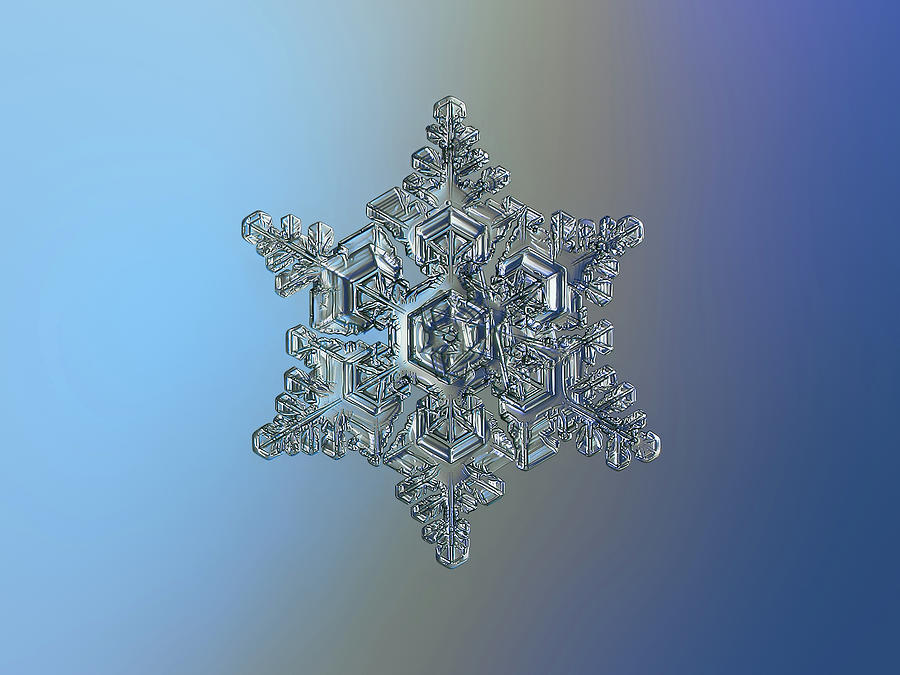 Real snowflake - 05-Feb-2018 - 15 Photograph by Alexey Kljatov