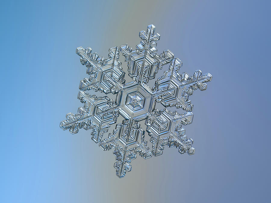 Real snowflake - 05-Feb-2018 - 16 Photograph by Alexey Kljatov