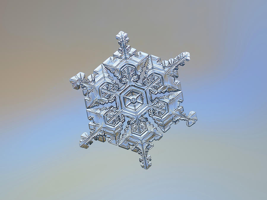 Real snowflake - 05-Feb-2018 - 18 Photograph by Alexey Kljatov