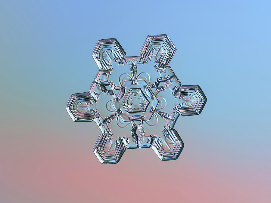 Real snowflake - 10-Jan-2019 - 1 Photograph by Alexey Kljatov