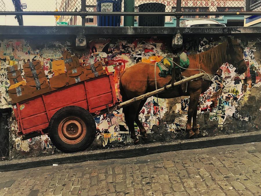 Realistic Horse and Cart Mural Photograph by Jerry Abbott