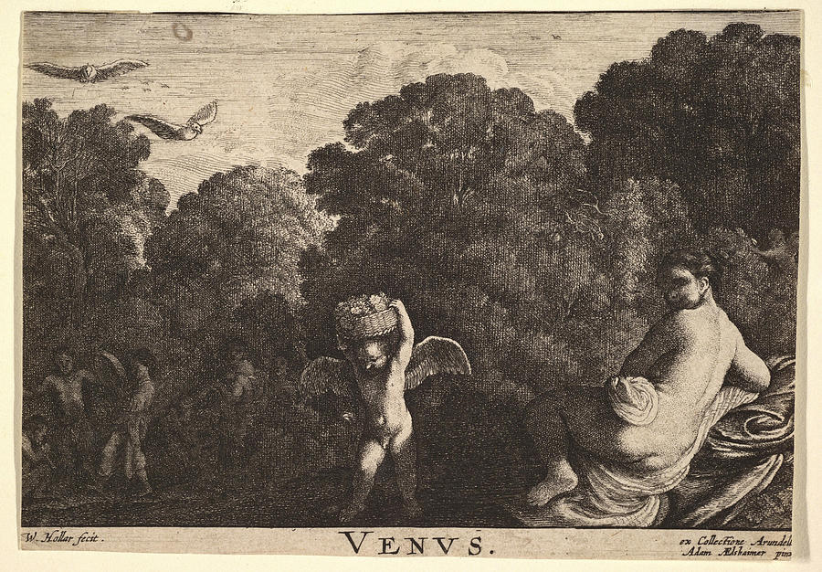 Wenceslaus Hollar Drawing - Realm of Venus by Wenceslaus Hollar