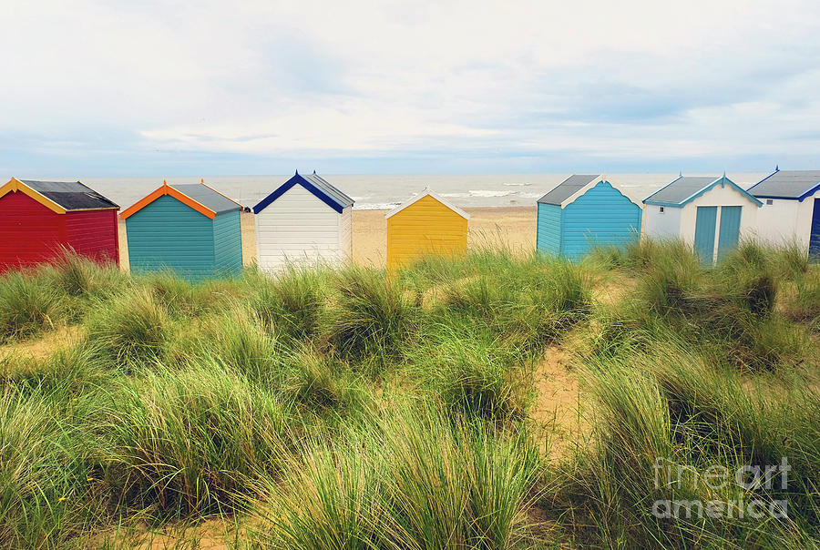 Rear View Of A Row Multi-coloured Beach Photograph by Simon Potter