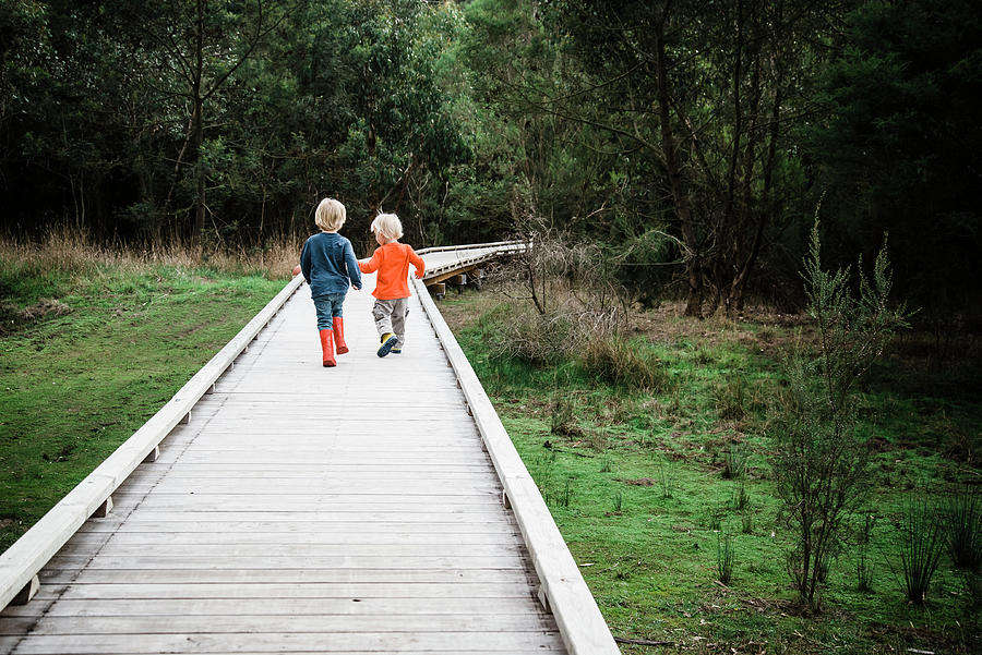 Tree Photograph - Rear View Of Brothers Walking On Boardwalk At Field by Cavan Images