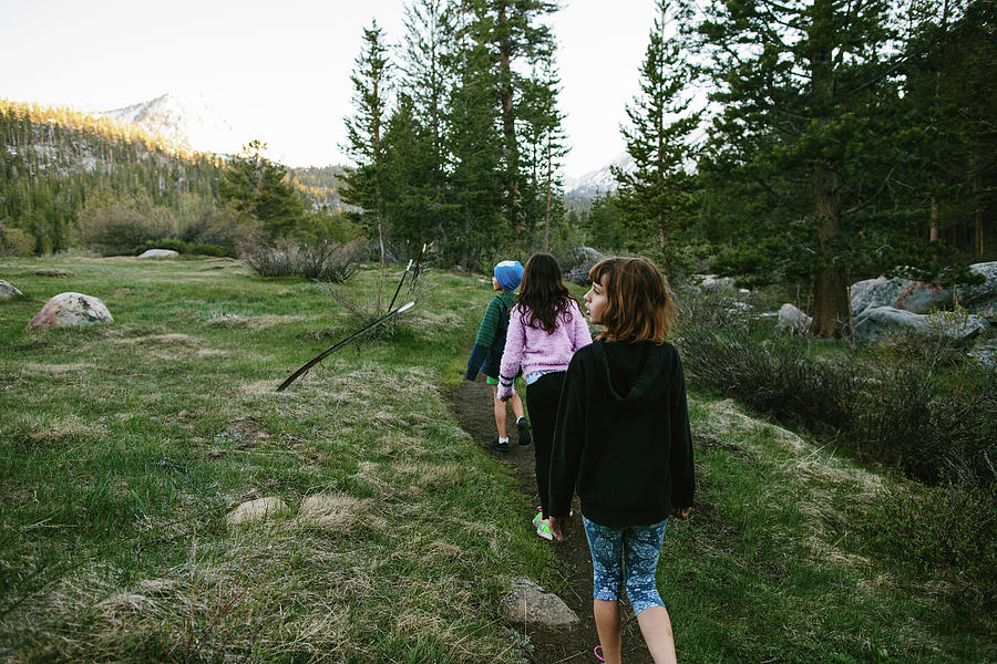 Tree Photograph - Rear View Of Siblings Walking On Field At Inyo National Forest by Cavan Images