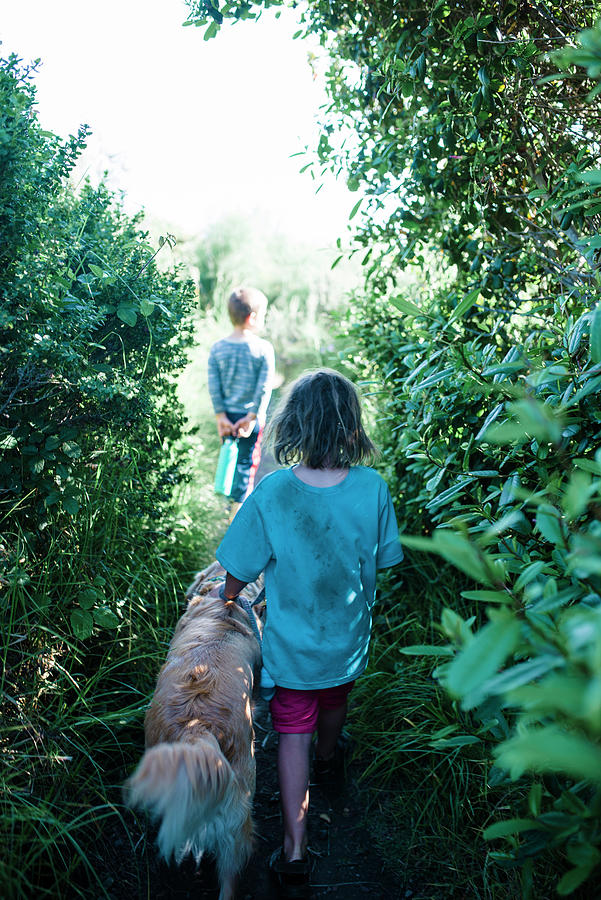 Nature Photograph - Rear View Of Siblings With Dog Amidst Plants In Forest by Cavan Images
