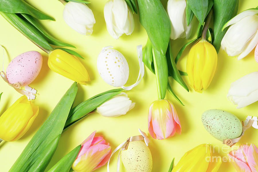 Easter Eggs II Photograph by Anastasy Yarmolovich