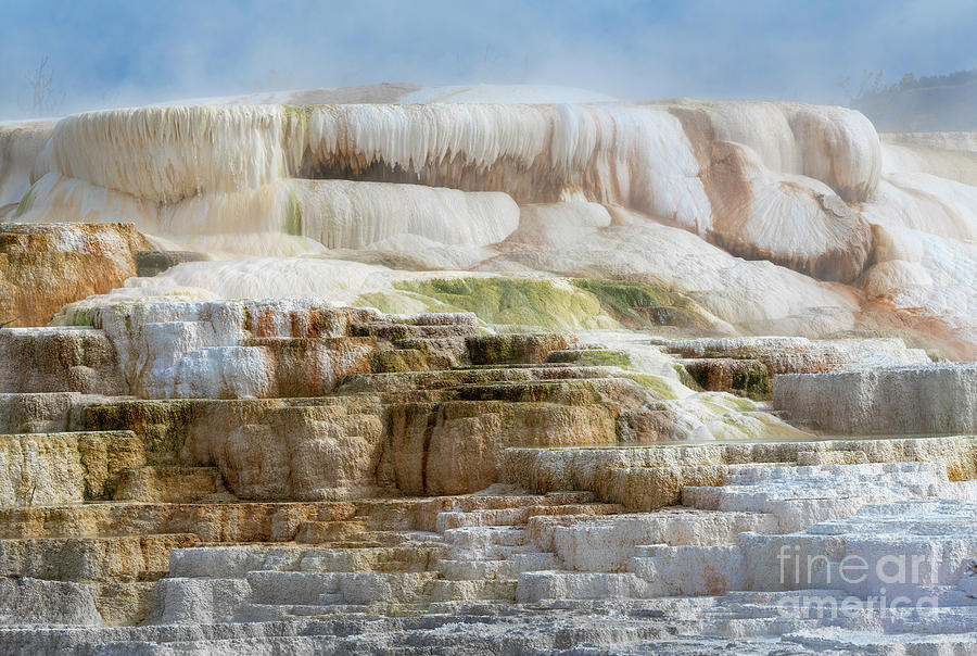 Rebirth - Mammoth Hot Springs by Sandra Bronstein Rebirth - Mammoth Hot Springs by Sandra Bronstein
