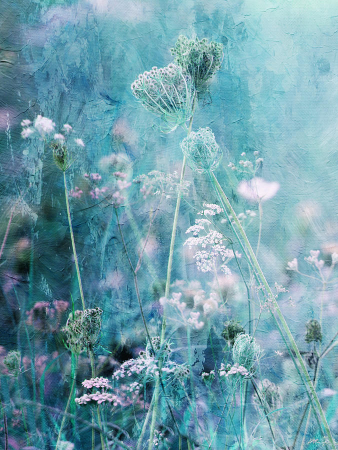 Flower Photograph - Recitation Of Flowers by Delphine Devos