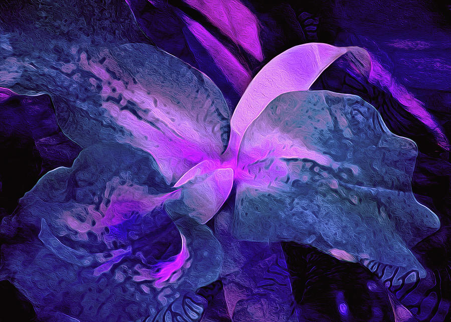 Recombinant Iris 23 by Lynda Lehmann Recombinant Iris 23 by Lynda Lehmann