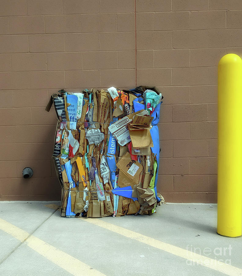 Recycle Photograph - Recycled Art by Steven Digman Recycle Photograph - Recycled Art by Steven Digman