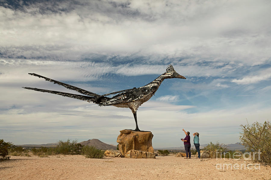 Recycled Roadrunner Photograph by Jim West/science Photo Library