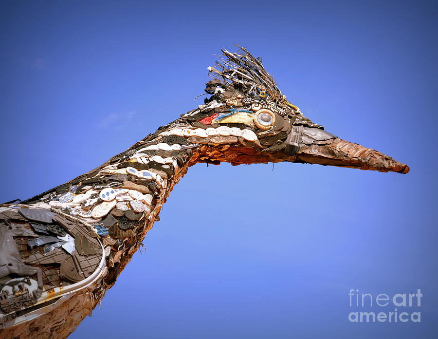 Recycled Roadrunner Photograph by Tru Waters