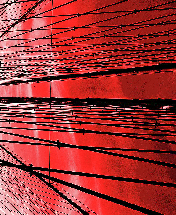 Red Abstract Photograph by Pannaphotos