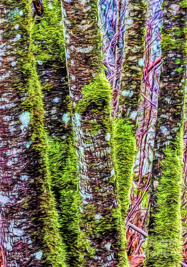 Red Alder Trees Two Digital Art by Jean OKeeffe Macro Abundance Art
