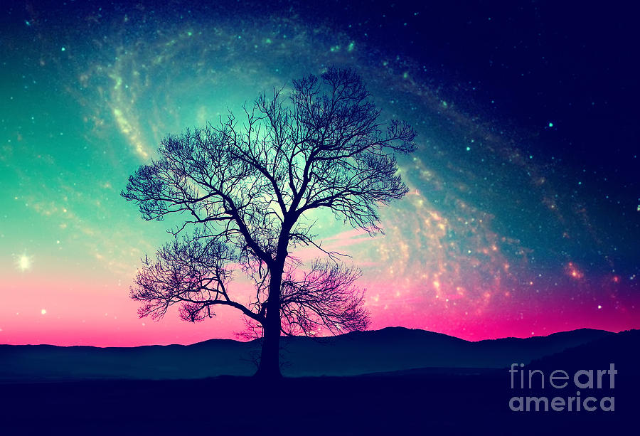 Magic Photograph - Red Alien Landscape With Alone Tree by Ssokolov Magic Photograph - Red Alien Landscape With Alone Tree by Ssokolov
