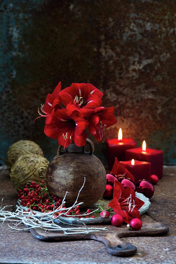 Red Amaryllis In Spherical Vase And Festive Decorations On Board Photograph by Alena Hrbkov