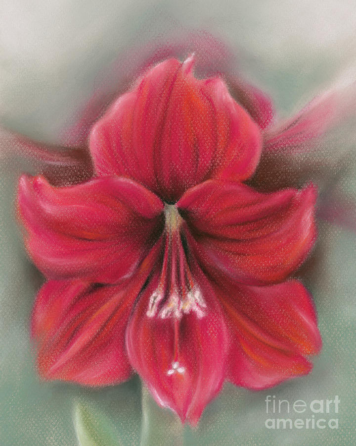 Red Amaryllis Painting by MM Anderson