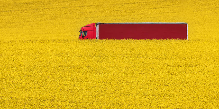 Red & Yellow Photograph by Ales Krivec