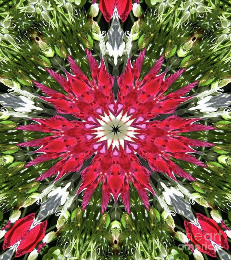 Red and Green Abstract Digital Art by D Hackett