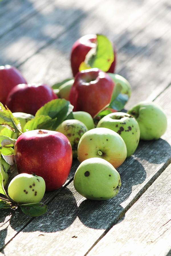 Red And Green Apples On Wooden Surface Photograph by Syl Loves