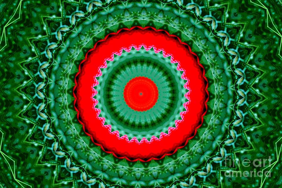 Red And Green Circle Photograph By Rui Militao Fine Art America