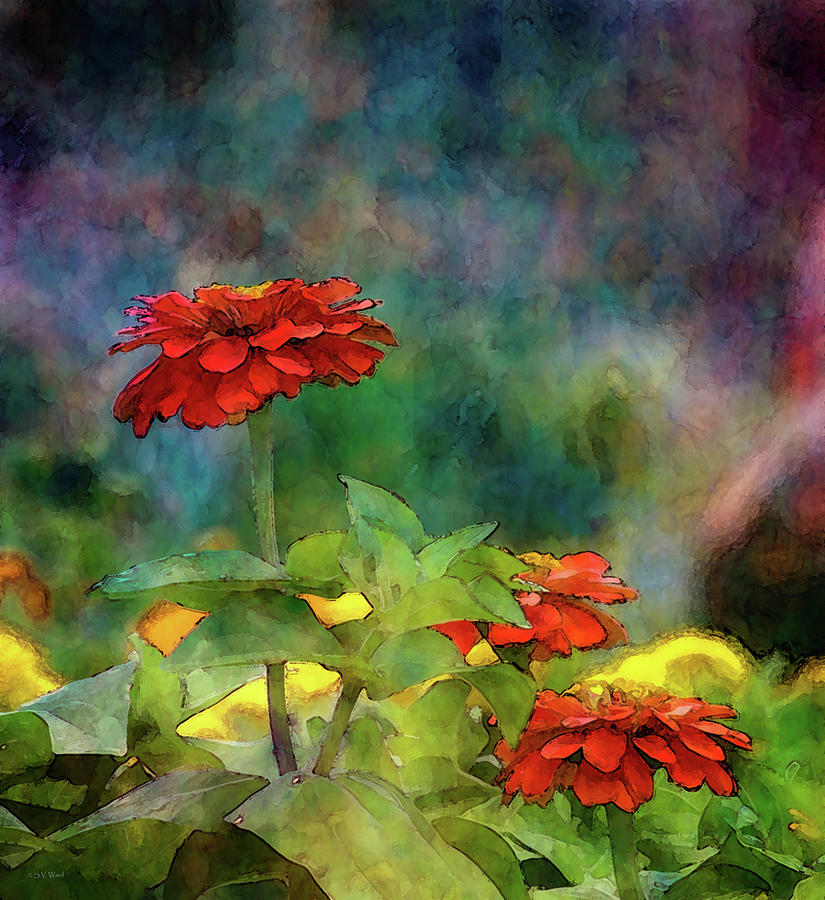 Red and Orange Zinnias 1297 IDP_2 Photograph by Steven Ward