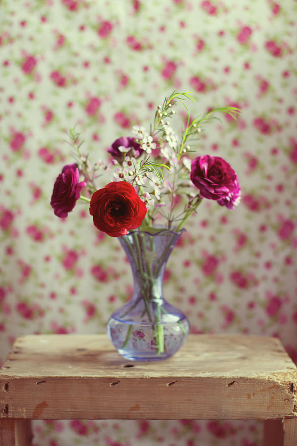 Red And Pink Ranunculus Flowers In Blue Photograph by Copyright Anna Nemoy(xaomena)