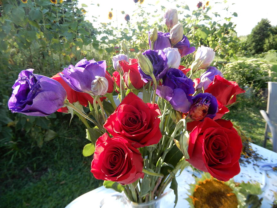 Red And Purple Flowers Photograph