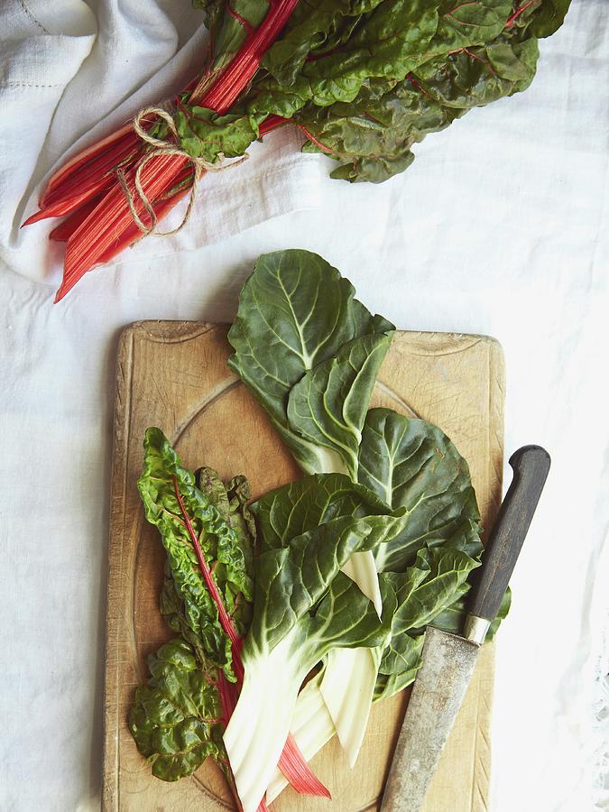 Red And White Chard Photograph by Lukejalbert
