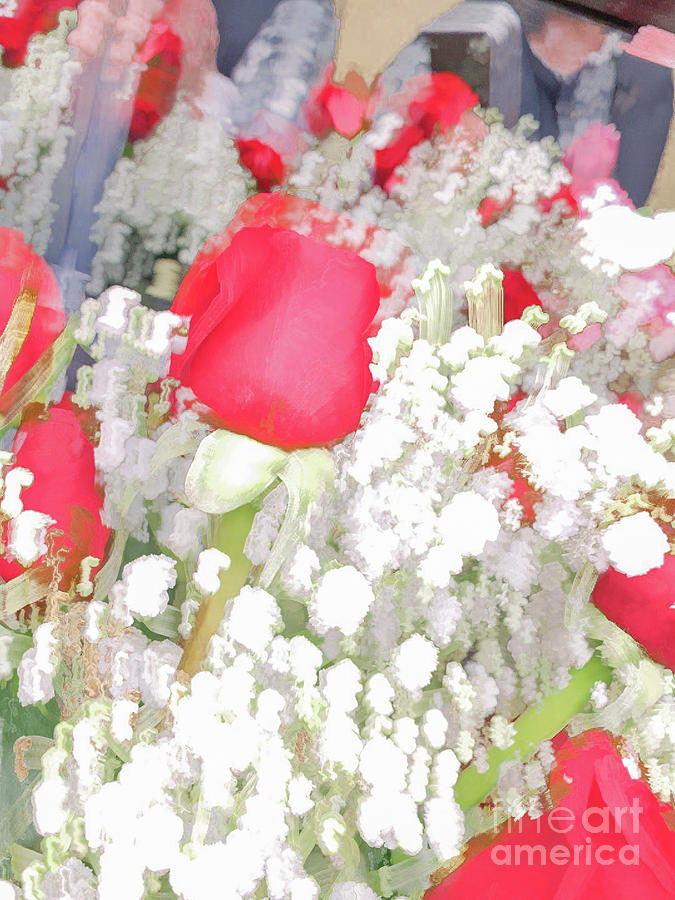 Red and White flowers pastel Photograph by Phillip Rubino