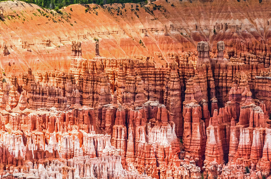 Red and White Hoodoos Photograph by Douglas Wielfaert