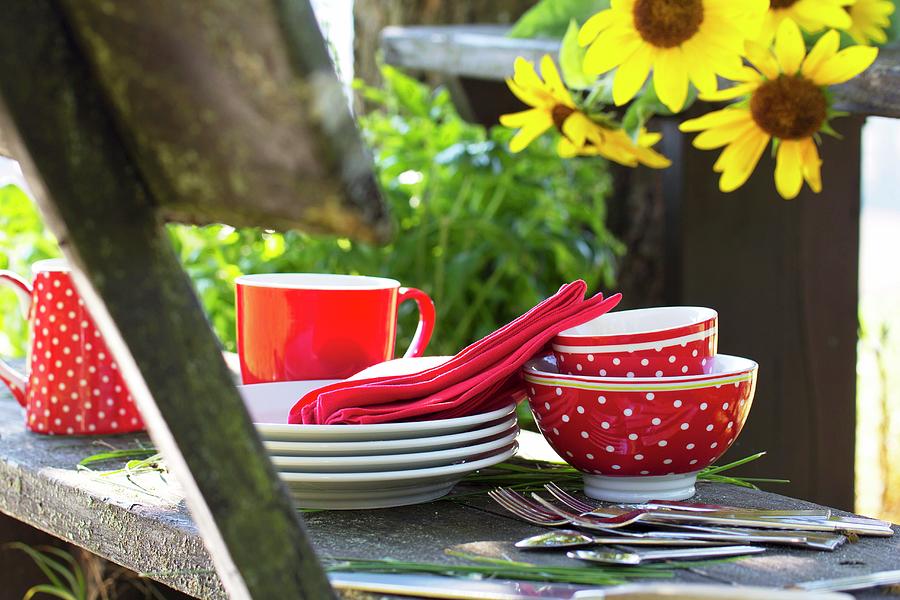 Red And White Picnic Crockery And Cutlery On Rustic Wooden Bench Next To Sunflowers Photograph by Angela Francisca Endress