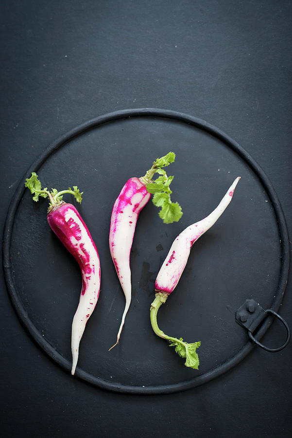 Red And White Radishes Photograph by Manuela Rther