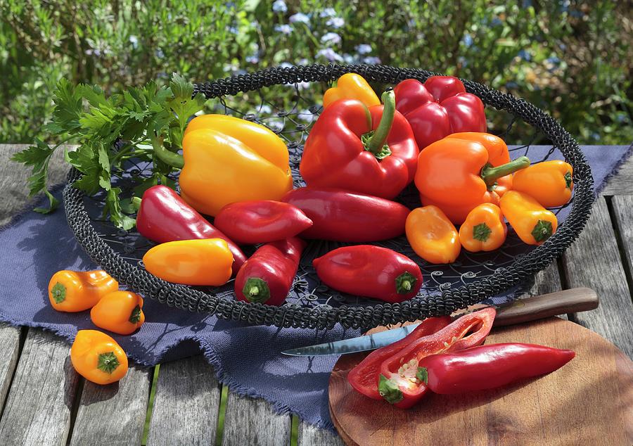 Red And Yellow Peppers In A Wire Basket On A Garden Table Photograph by Peter Garten